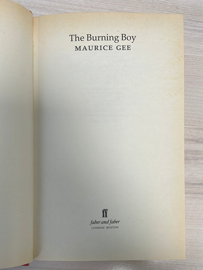 The Burning Boy - Maurice Gee