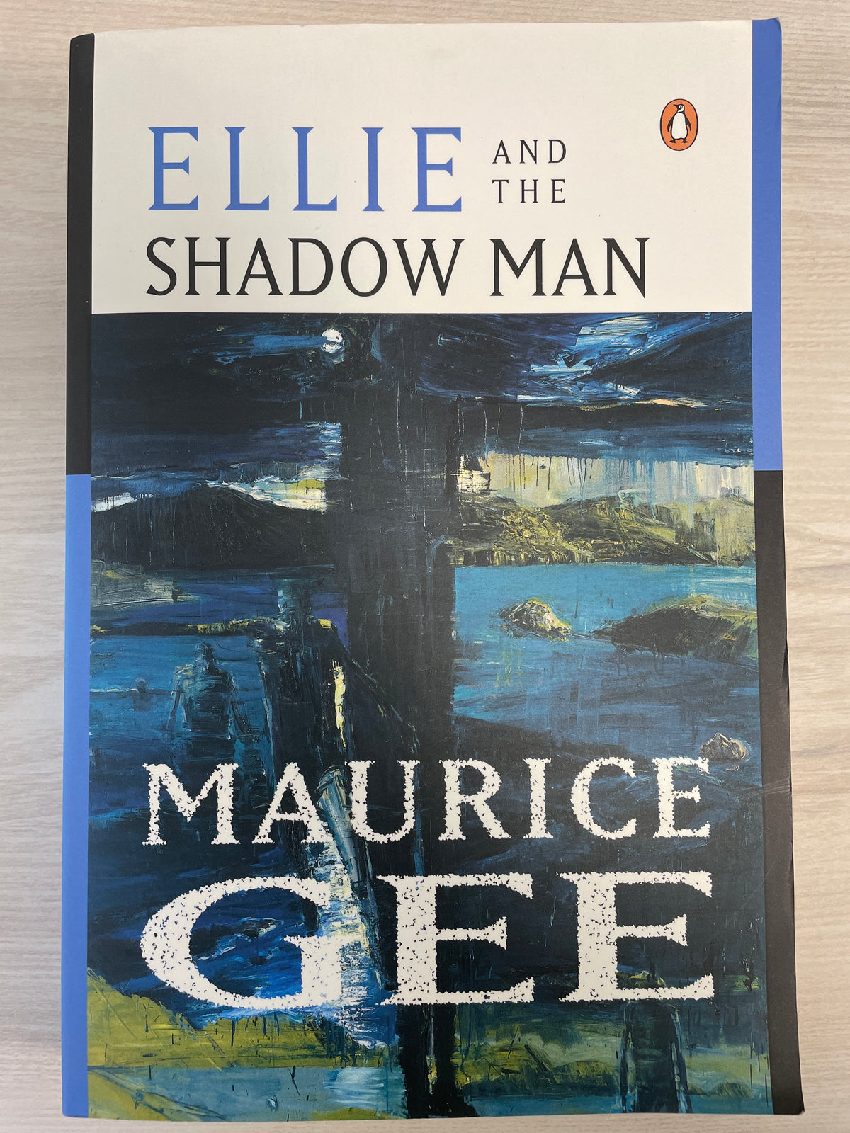 Ellie and the Shadow Man - Maurice Gee