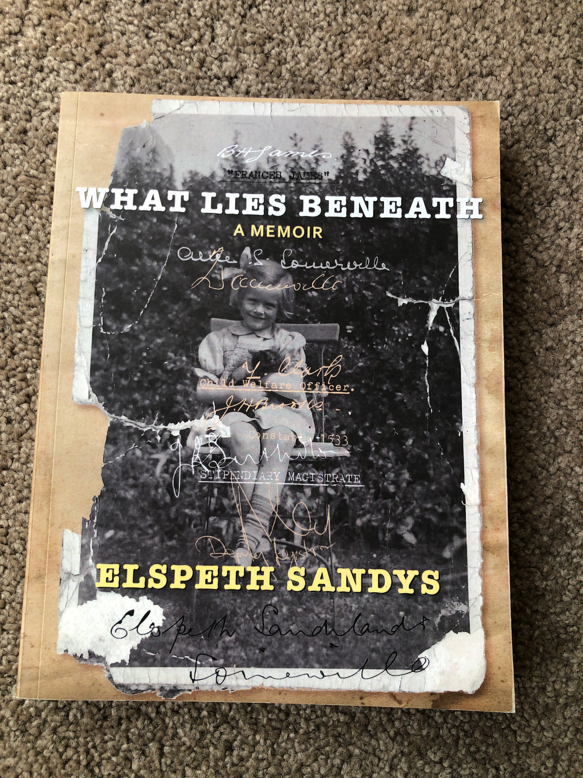 What Lies Beneath - Elspeth Sandys