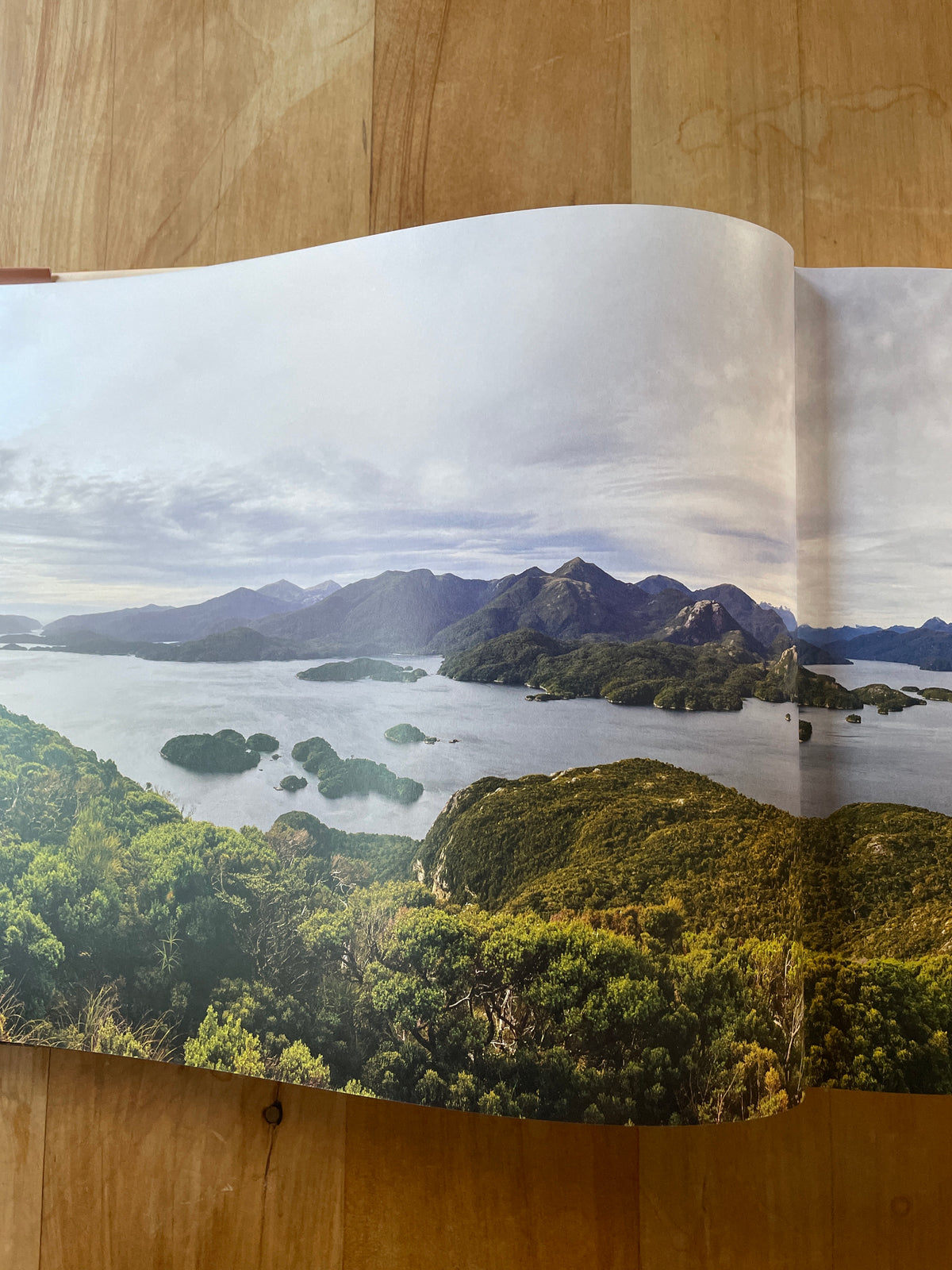 Letters of a Naturalist: the field accounts of Richard Henry of Resolution Island - Susanne Hill, John Hill and Victoria Jaenecke