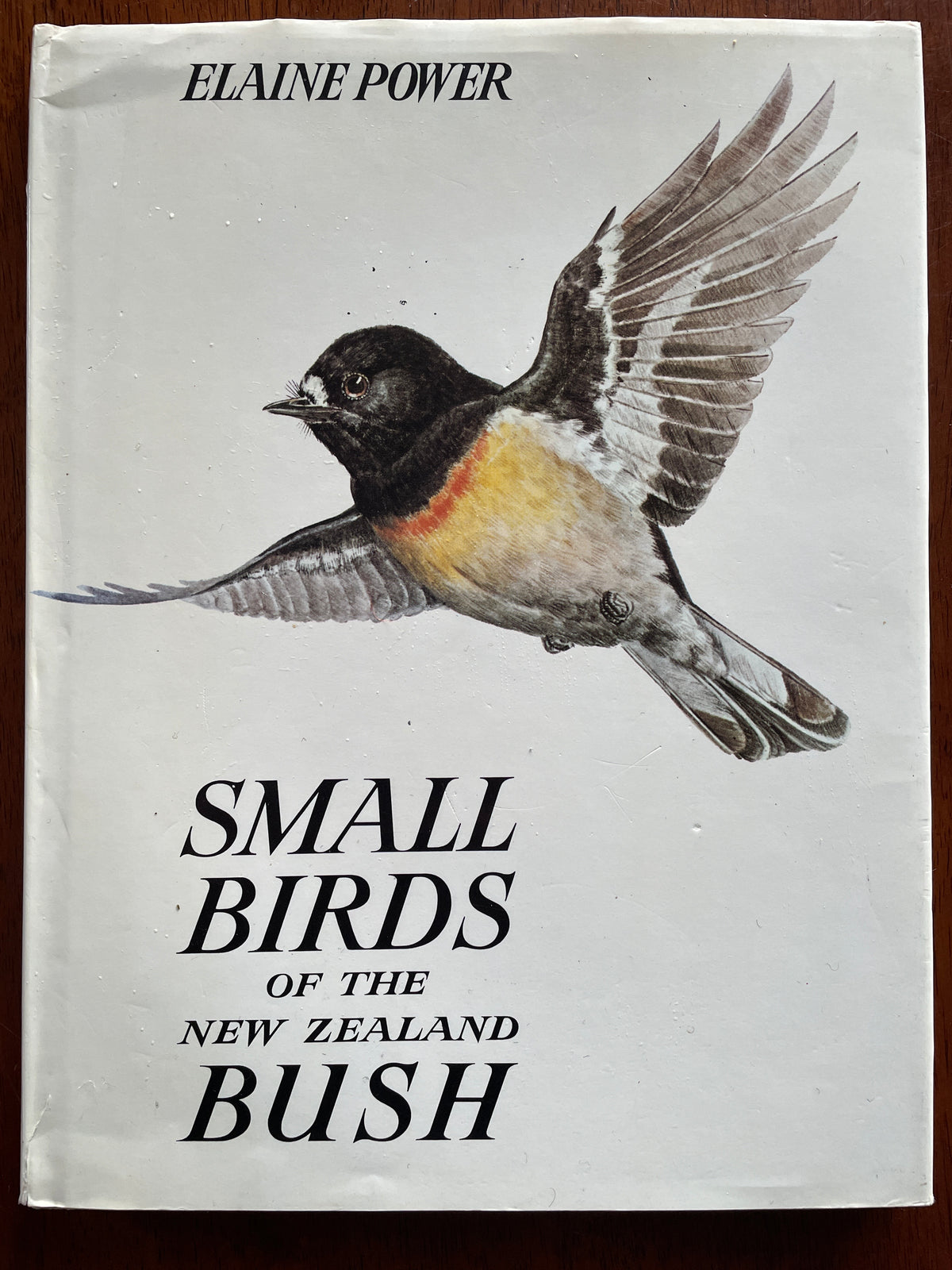 Small birds of the New Zealand bush – Elaine Power