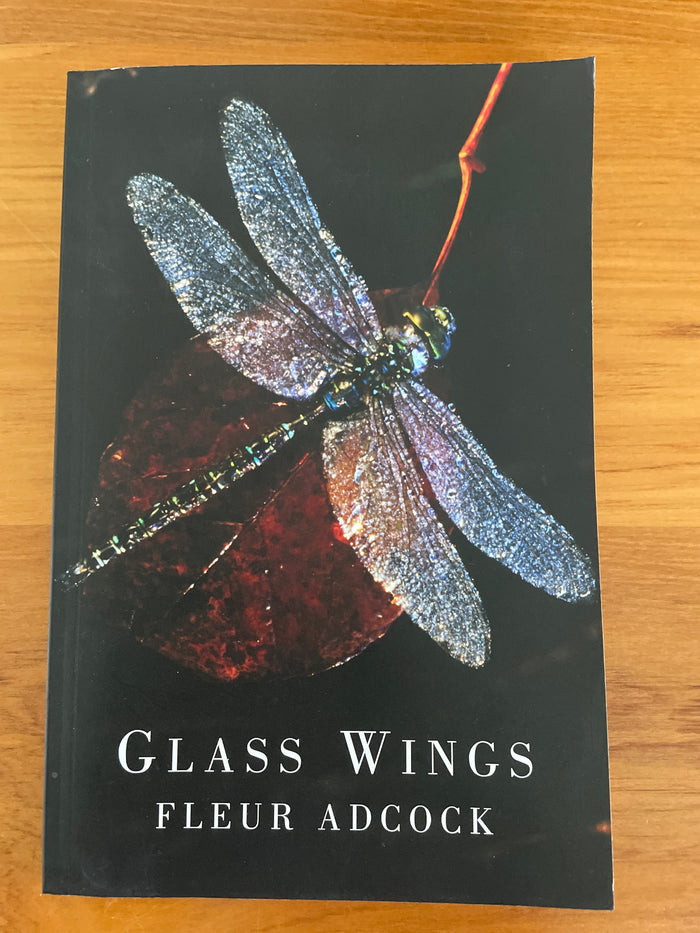 Glass Wings - Fleur Adcock