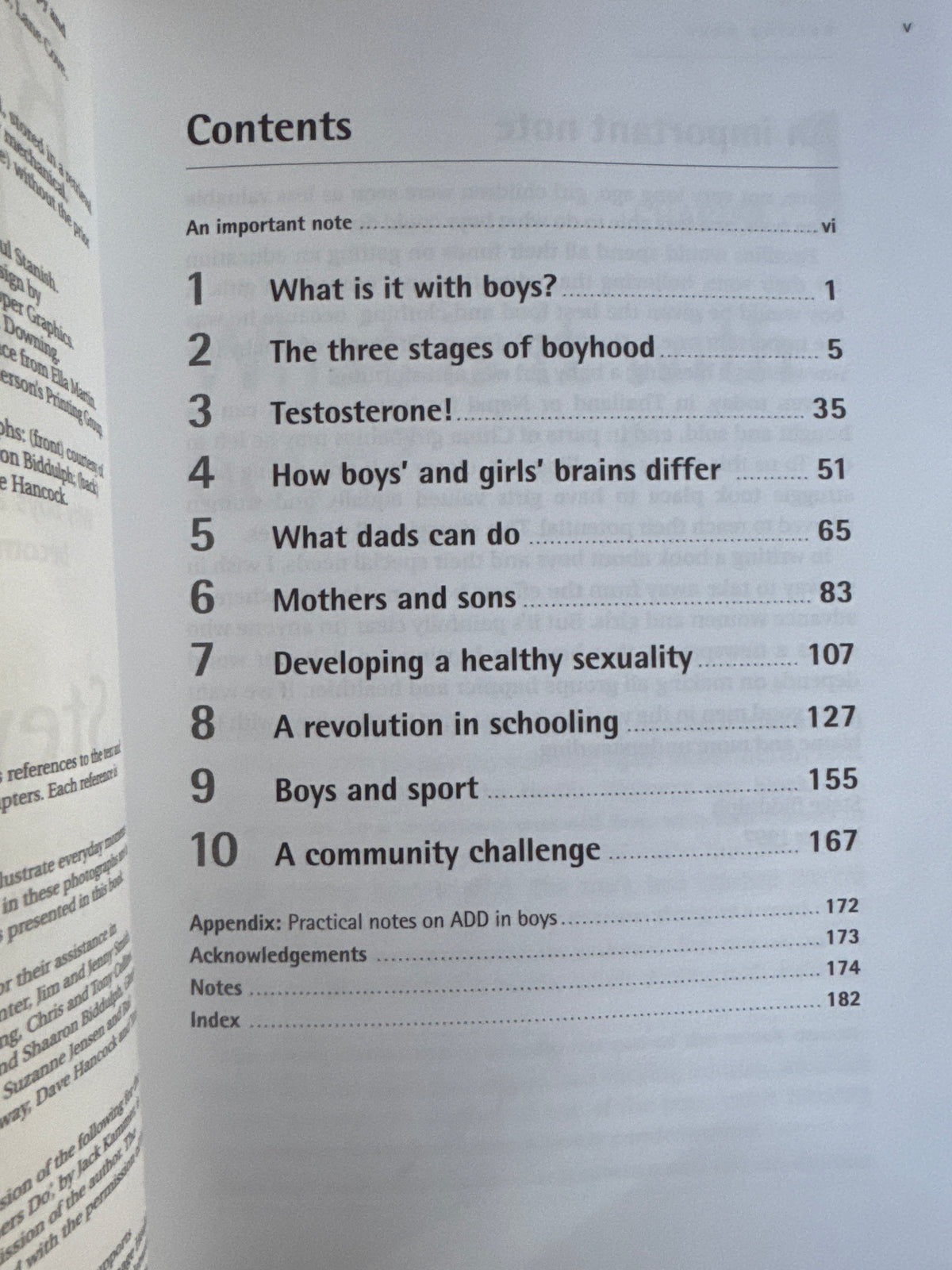 Raising Boys - Steve Biddulph